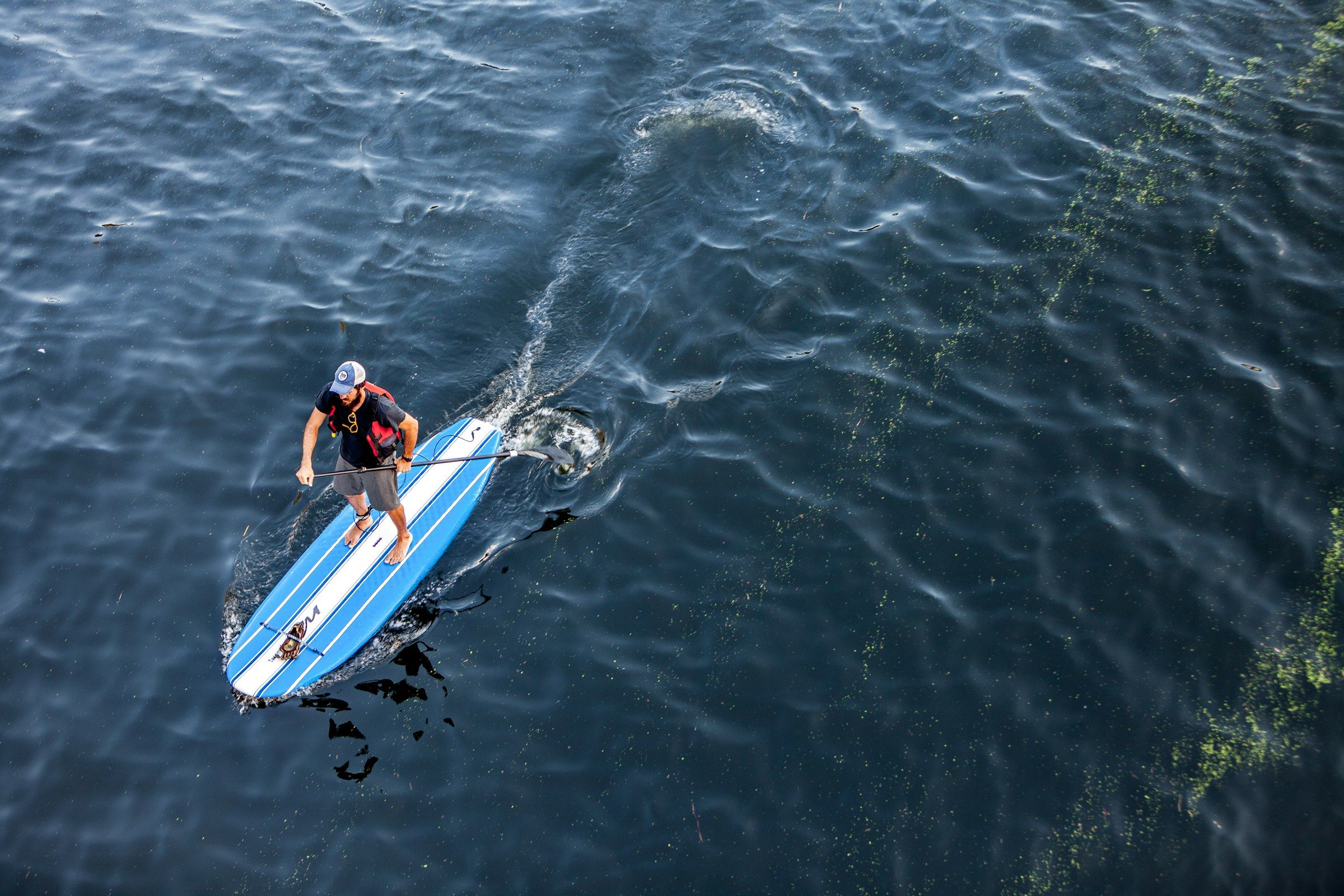 Vue d'en haut : un rameur sur une planche bleue en pleine mer